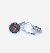 Load image into Gallery viewer, 12mm Chocolate Druzy Leverback Drop Earrings (Stainless Steel)