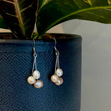 Load image into Gallery viewer, Mixed Freshwater Pearl Drop Earrings