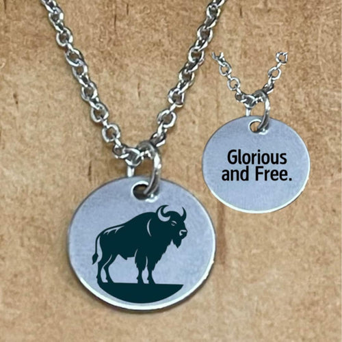 Manitoba Bison 