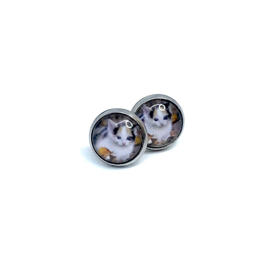 10mm Autumn Cat Studs (Stainless Steel)