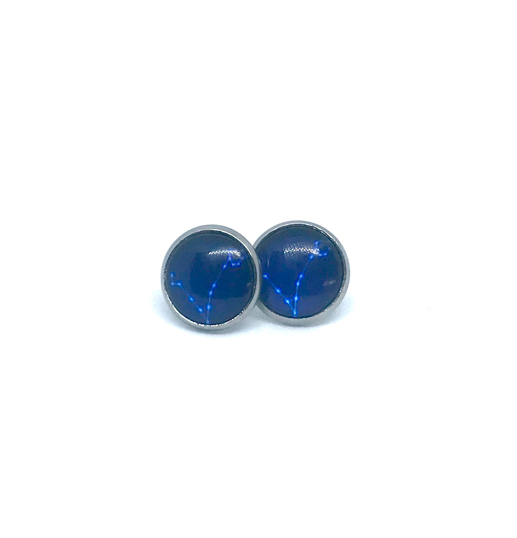12mm Pisces Studs (Stainless Steel)