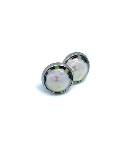 10mm Aspen Cat Studs (Stainless Steel)