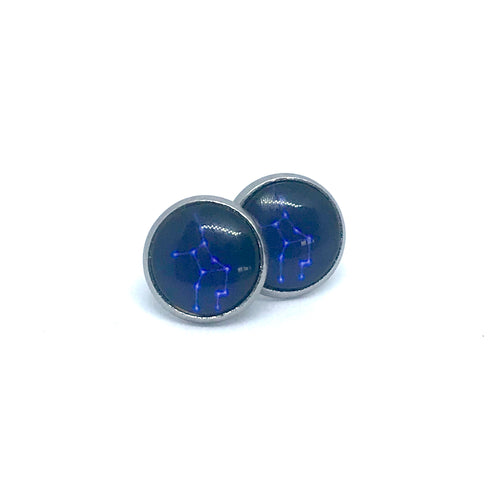 12mm Virgo Studs (Stainless Steel)