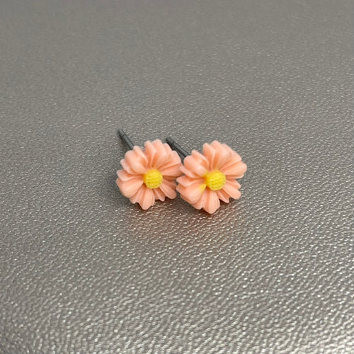 Chrysanthemum Studs in Coral Sands