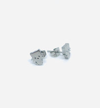 Load image into Gallery viewer, Terra Studs (Stainless Steel)
