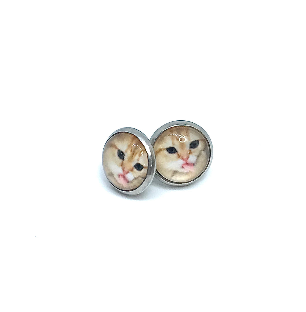 10mm Sandy Cat Studs (Stainless Steel)